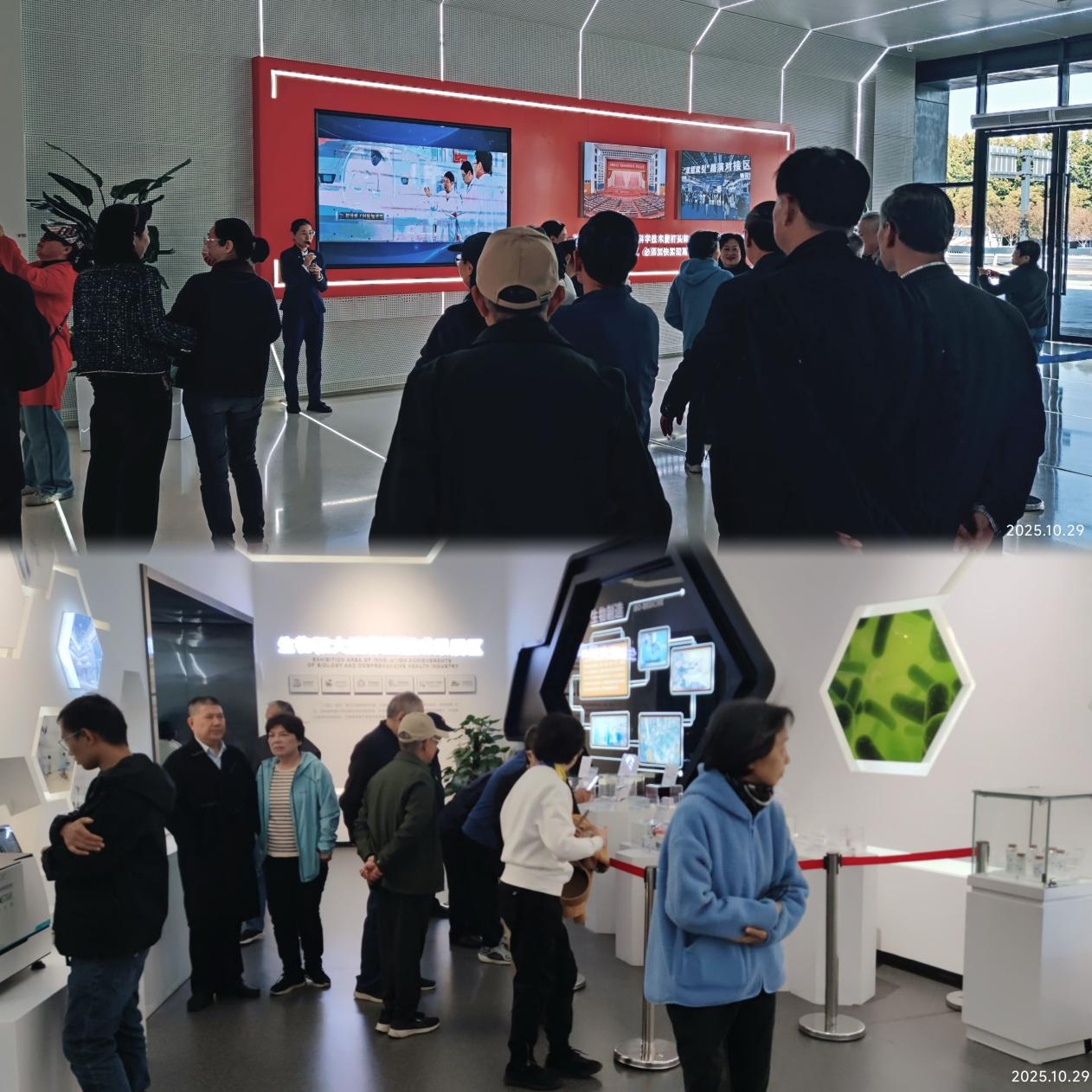 图片1.png 图片1.png